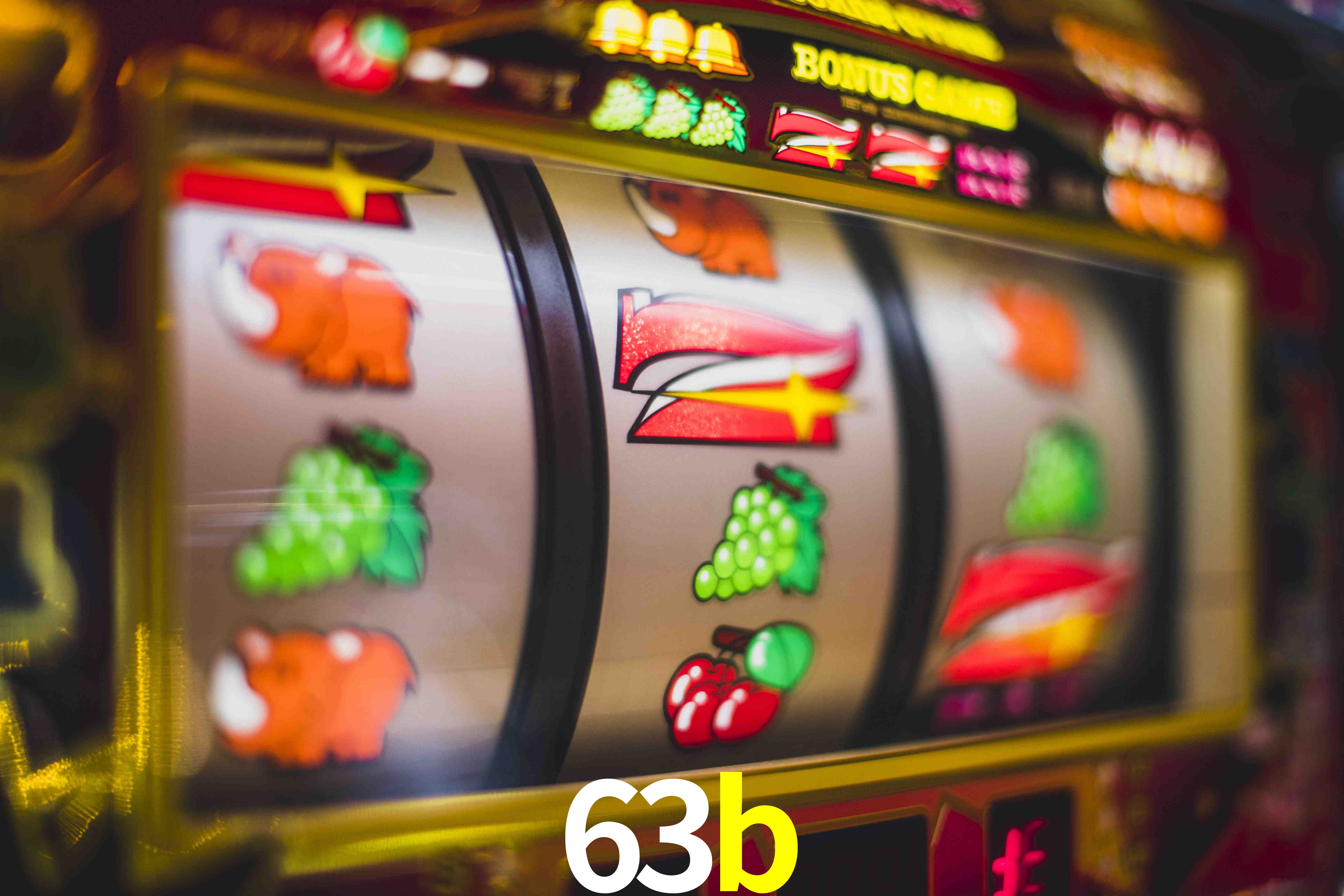 VIP Casino 63b